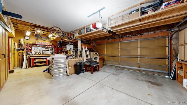 13307 Humboldt Dr, Thornton, CO 80241 - garage with a garage door opener and a workshop area