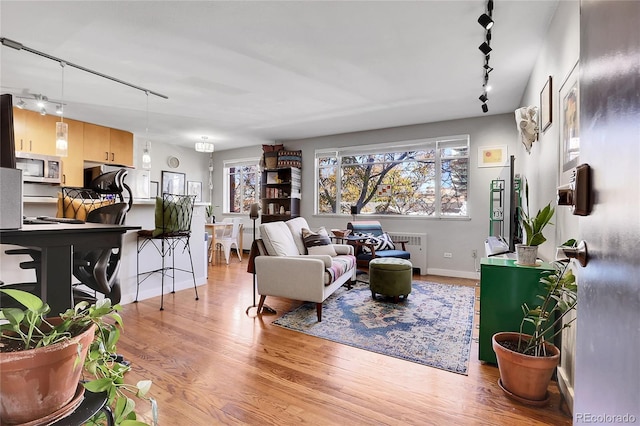 living room featuring rail lighting, plenty of natural light, radiator heating unit, and light hardwood / wood-style flooring