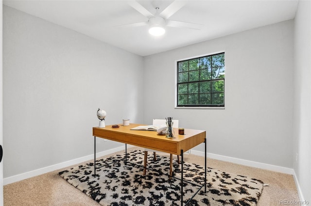 4682 Chatham St, Boulder, CO 80301 - photo 15
