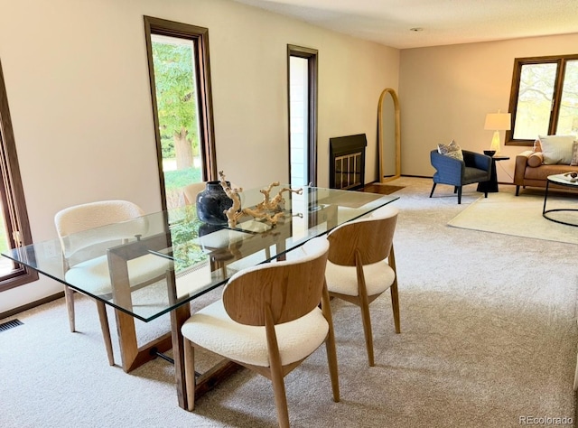 53 Douglas Dr S, Broomfield, CO 80020 - photo 9
