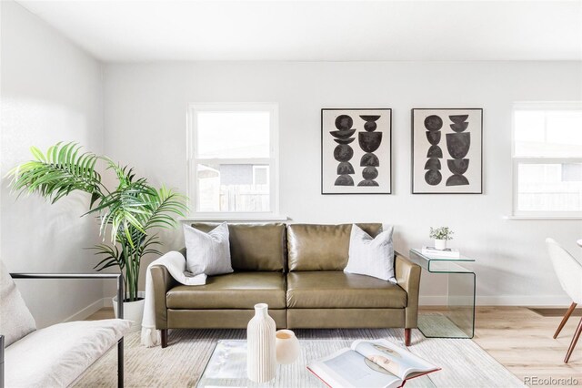 1405 Eaton St, Lakewood, CO 80214 - living room featuring baseboards and wood finished floors