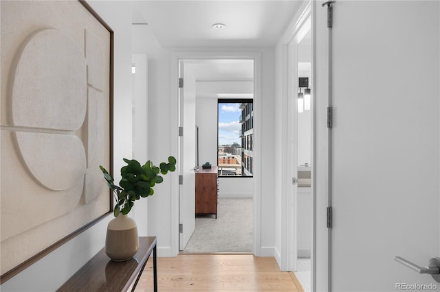 1750 Wewatta St Unit 1301, Denver, CO 80202 - corridor with light wood-type flooring and baseboards