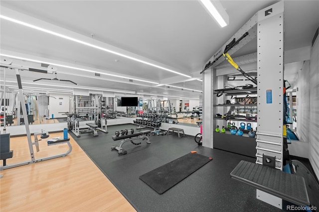1750 Wewatta St Unit 1301, Denver, CO 80202 - view of gym