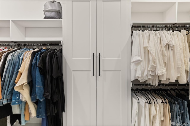 22454 Anasazi Way, Golden, CO 80401 - view of spacious closet
