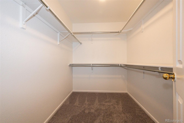 walk in closet with carpet