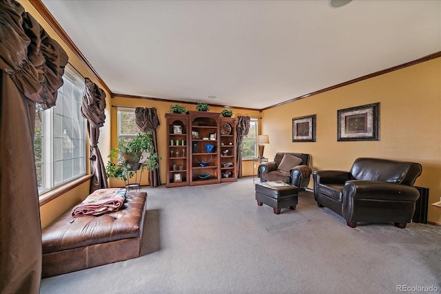 living room with ornamental molding and carpet flooring