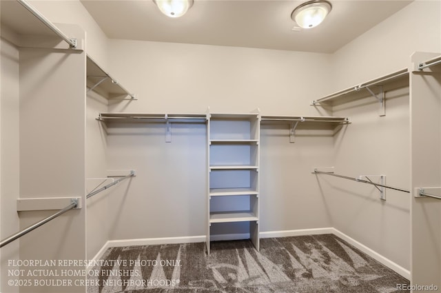 walk in closet featuring carpet floors