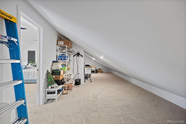 15194 W 69th Ave, Arvada, CO 80007 - photo 26