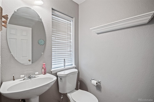 half bath featuring a sink, toilet, and a textured wall