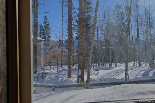 view of yard covered in snow