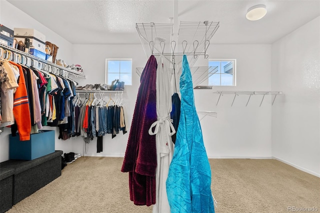 spacious closet with carpet flooring