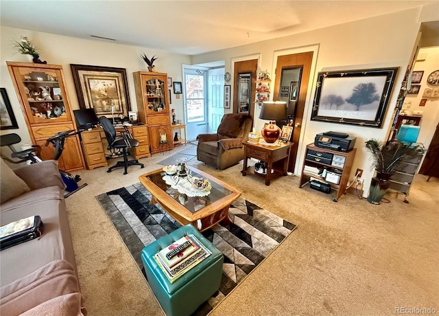 2910 Straus Ln, Colorado Springs, CO 80907 - photo 15
