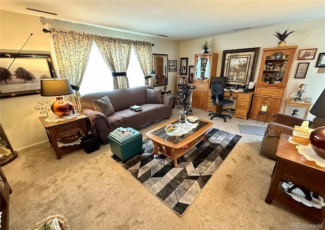 2910 Straus Ln, Colorado Springs, CO 80907 - photo 16