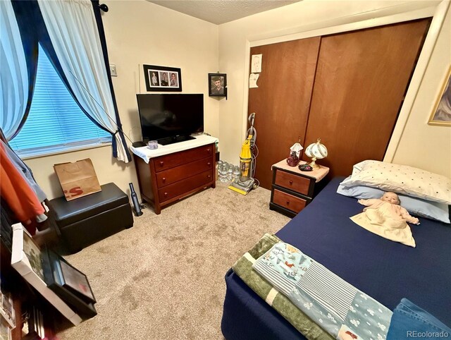 2910 Straus Ln, Colorado Springs, CO 80907 - photo 20