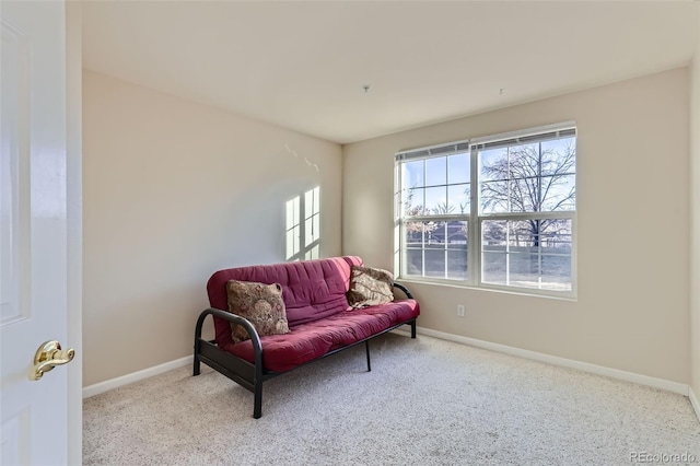 living area featuring baseboards and carpet flooring