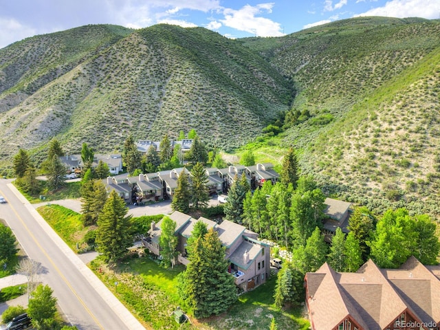 180 Nottingham Rd Unit C, Avon, CO 81620 - view of mountain backdrop featuring nearby suburban area