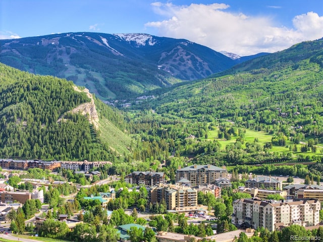 180 Nottingham Rd Unit C, Avon, CO 81620 - view of mountain background featuring a forest