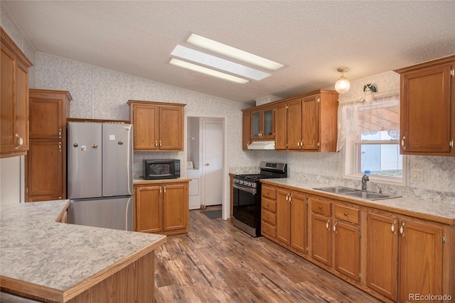 kitchen featuring lofted ceiling with skylight, appliances with stainless steel finishes, hardwood / wood-style flooring, and sink