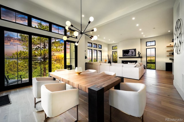 dining space featuring a healthy amount of sunlight, a notable chandelier, and light hardwood / wood-style floors