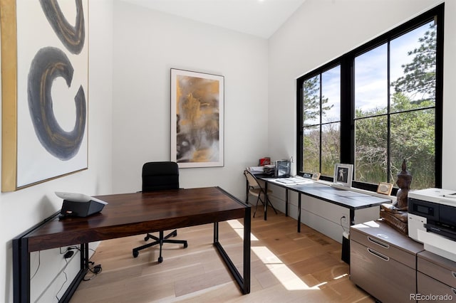 office area featuring light hardwood / wood-style floors