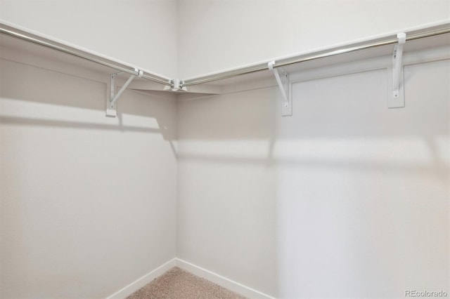 1321 Loraine Cir N, Lafayette, CO 80026 - walk in closet with carpet