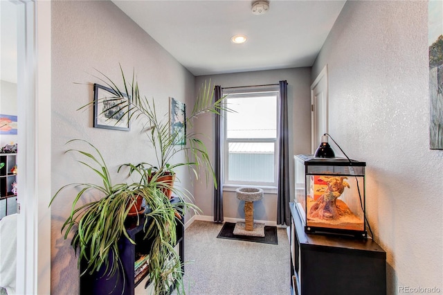 262 S 4th Ct, Deer Trail, CO 80105 - interior space with carpet flooring and a textured wall