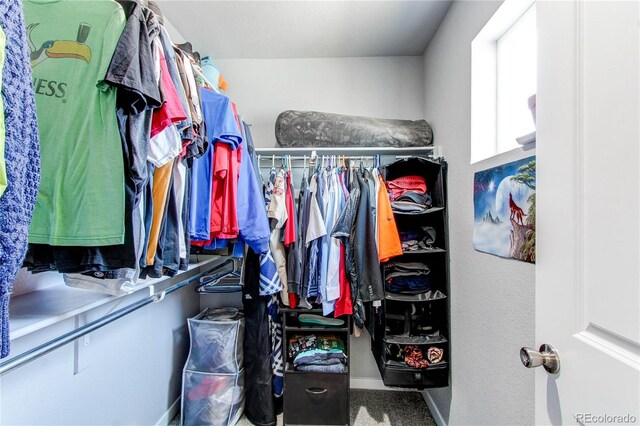 262 S 4th Ct, Deer Trail, CO 80105 - walk in closet with carpet