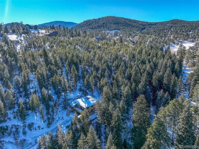 snowy aerial view featuring a mountain view