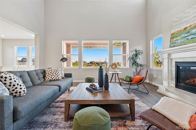 living room with baseboards, a healthy amount of sunlight, a high ceiling, and wood finished floors