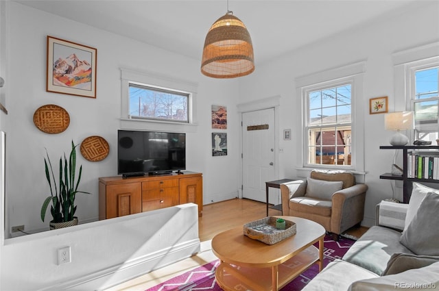 living room with wood-type flooring