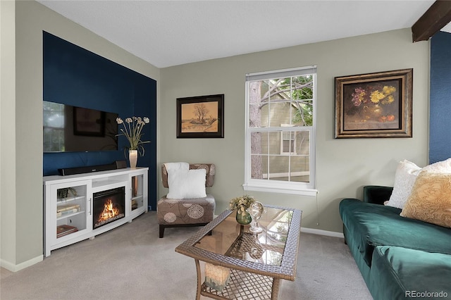 2021 S Hannibal Way Unit F, Aurora, CO 80013 - carpeted living area with a warm lit fireplace and baseboards
