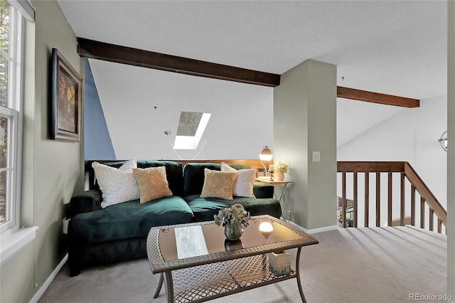 2021 S Hannibal Way Unit F, Aurora, CO 80013 - carpeted living area featuring a skylight and baseboards