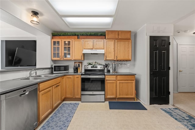 6650 Stagecoach Ave, Firestone, CO 80504 - photo 10