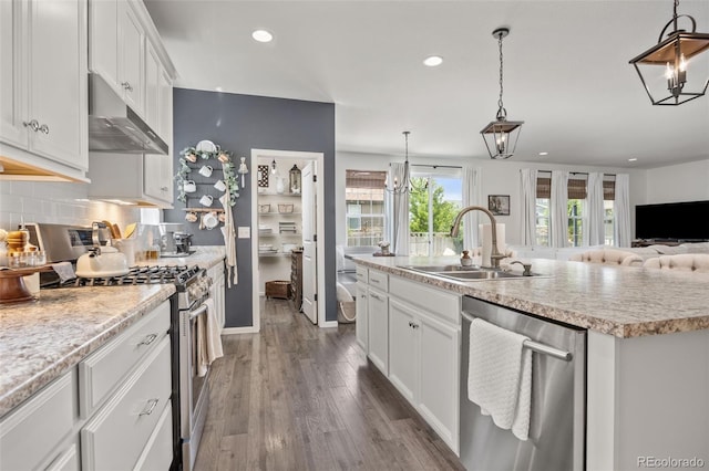 3535 Raintree Ln, Dacono, CO 80514 - kitchen featuring appliances with stainless steel finishes, under cabinet range hood, light countertops, dark wood-style floors, and recessed lighting