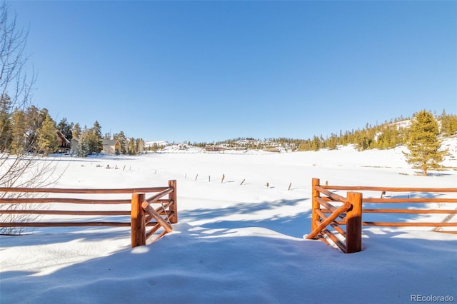 view of snowy yard