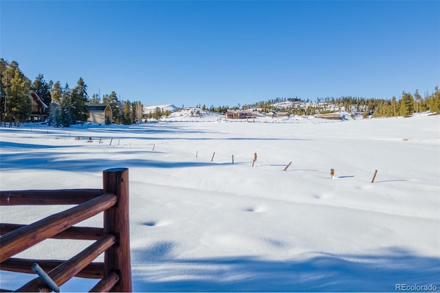 view of yard covered in snow