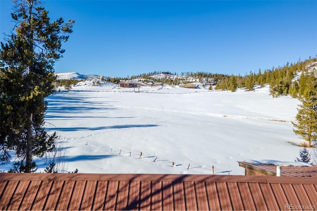 view of yard covered in snow