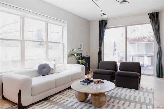 living area featuring wood finished floors