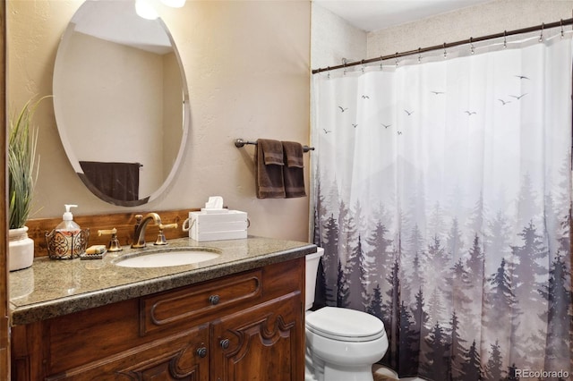 96 County Road 7, Fairplay, CO 80440 - bathroom featuring vanity, toilet, and a shower with shower curtain