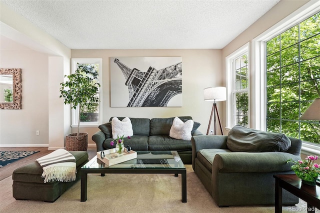 living room with baseboards and a textured ceiling