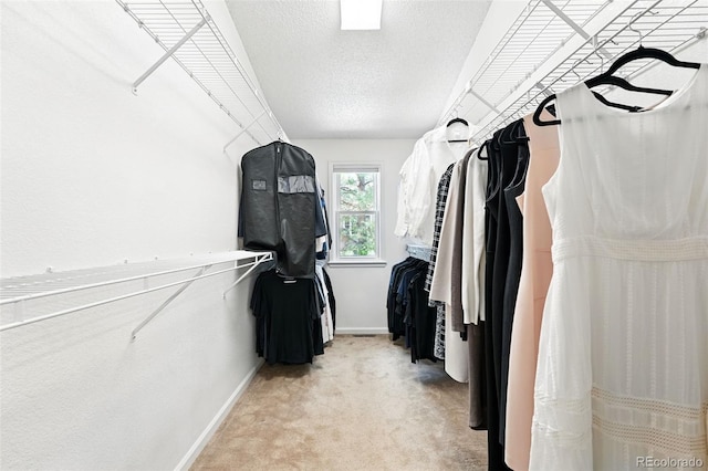 walk in closet with light colored carpet