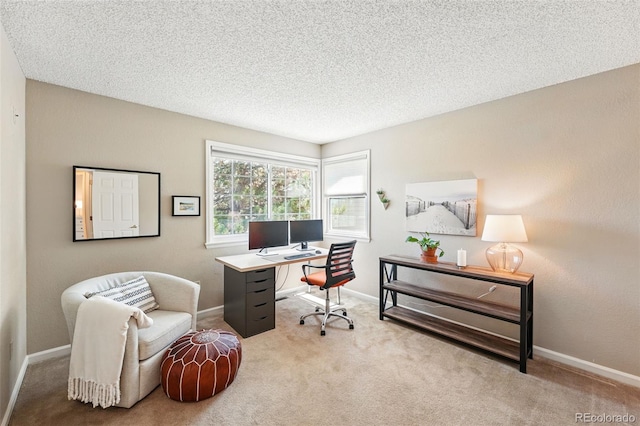office space featuring baseboards, carpet flooring, and a textured ceiling