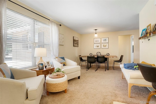 2964 S Akron St, Denver, CO 80231 - living area featuring carpet flooring and baseboards