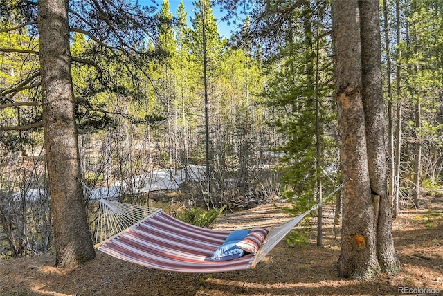 398 Mountain View Dr, Black Hawk, CO 80422 - view of yard with a forest view