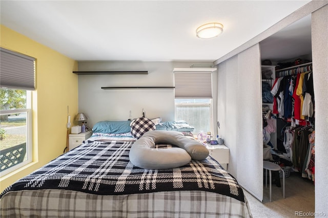 bedroom featuring a spacious closet and a closet