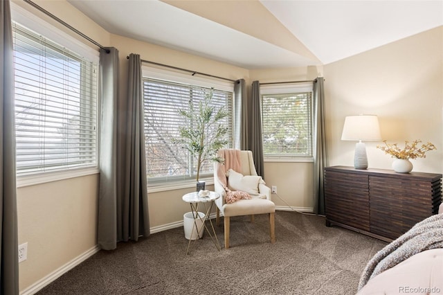 bedroom featuring carpet floors, baseboards, and vaulted ceiling