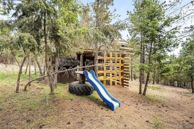 view of jungle gym