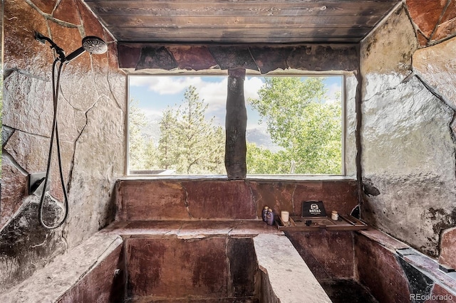 miscellaneous room with a wealth of natural light and wooden ceiling