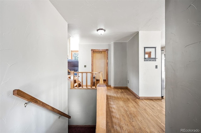 corridor featuring light hardwood / wood-style flooring