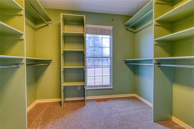 walk in closet with carpet and visible vents